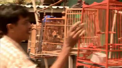 8 ปี ไฟใต้ไม่ดับ แต่ธุรกิจอสังหาฯพุ่งสวนทาง