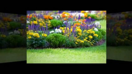 Rose Man Lawn & Garden - (618) 698-3702