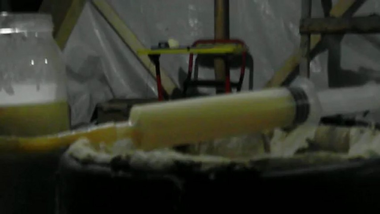 SAM_1920