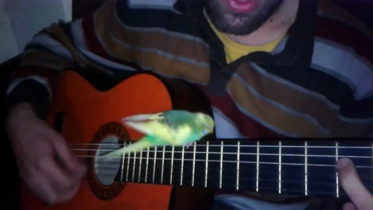OZAN ÜNSAL - İSYAN