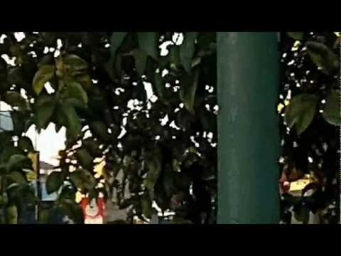 Aversa (CE) - Semaforo fuori uso, protestano studenti del Siani (06.12.12)