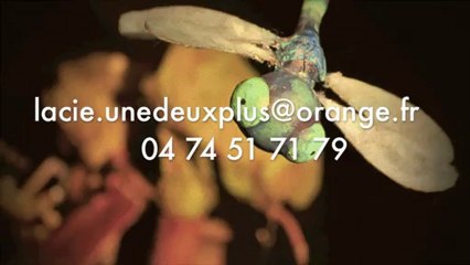 anatole, spectacle de marionnettes sur table