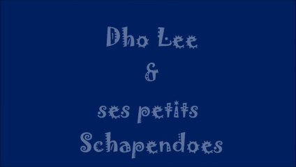 Les petits de Dho Lee et Achyl ont 3 semaines