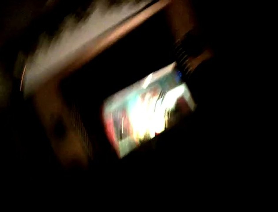 Spectacle de marionnettes (Pinocchio) au jardin du Luxembourg (2)