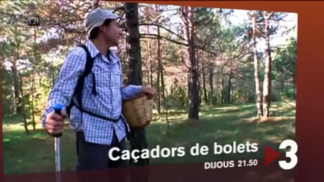 TV3 - Dijous, a les 21.50 a TV3 - Caçadors de bolets