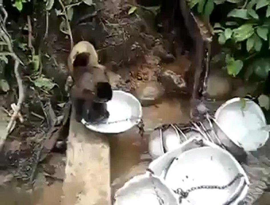 Kadın Olmak Her Yerde Aynı - Bulaşık Yıkayan Ma...
