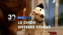 Reportage sur ETHAN, chien enterré vivant (30 millions d'amis)