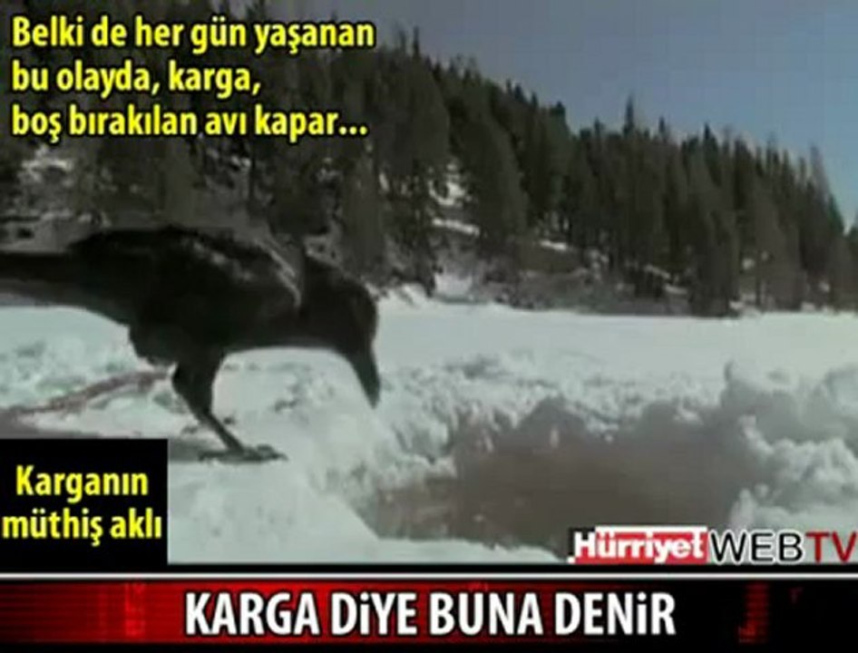 KargaBalikTutuyor