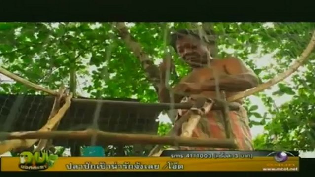 กบนอกกะลา กุ้งมังกร The Lobster 16 ธันวาคม 2555 @TMC