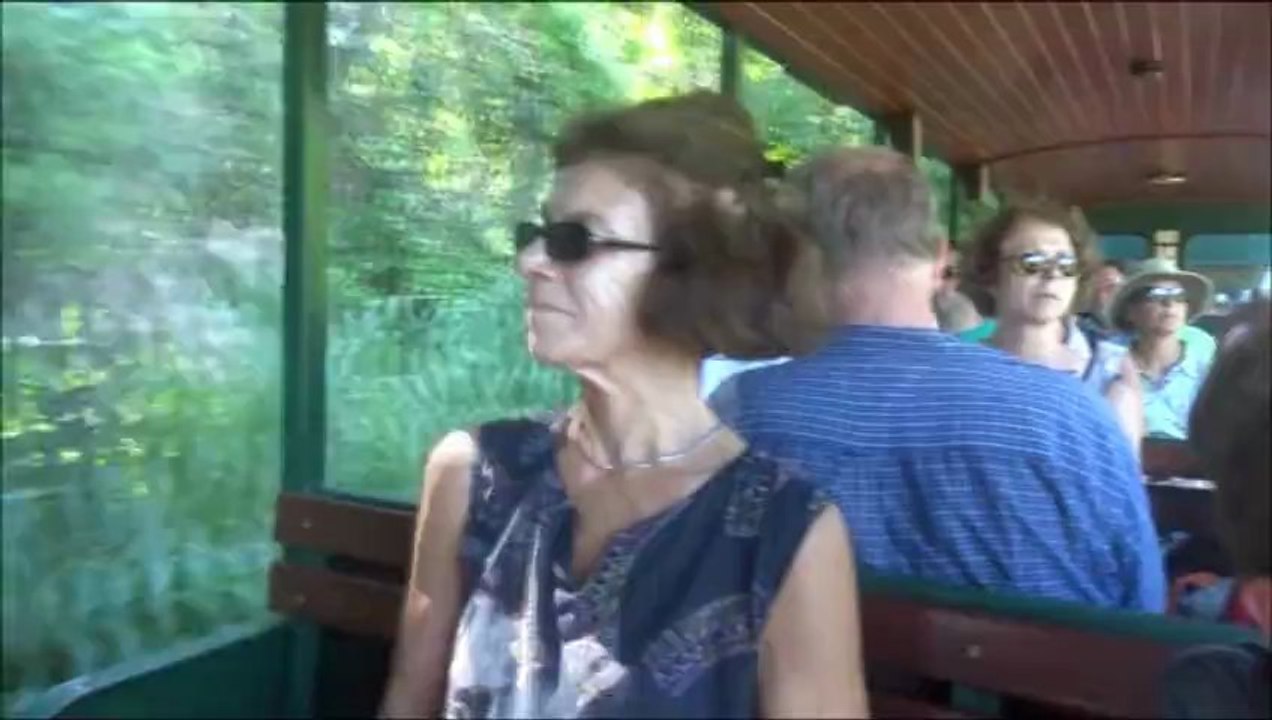 UFAO Argentine Iguazu
