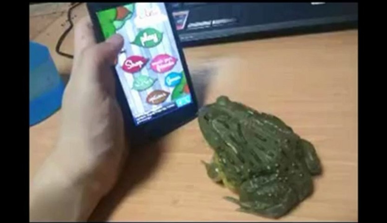Brincar com o sapo no telemovel