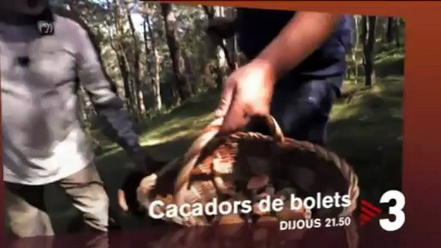 TV3 - Dijous, a les 21.50 a TV3 - Caçadors de bolets