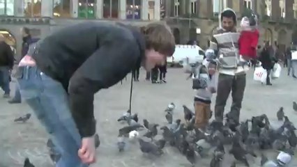 Liefde voor duiven