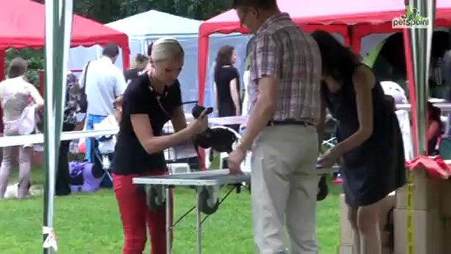 04.08.2012 Выставка собак. Сокольники. ЦЛЖ ЛИДЕР&ПРЕСТИЖ