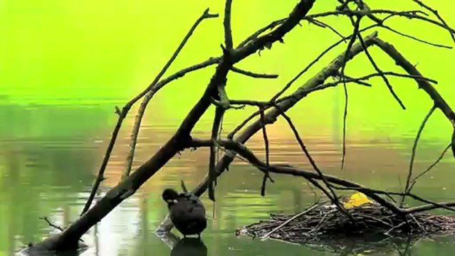 Travelling vélo à Villeneuve d'Ascq