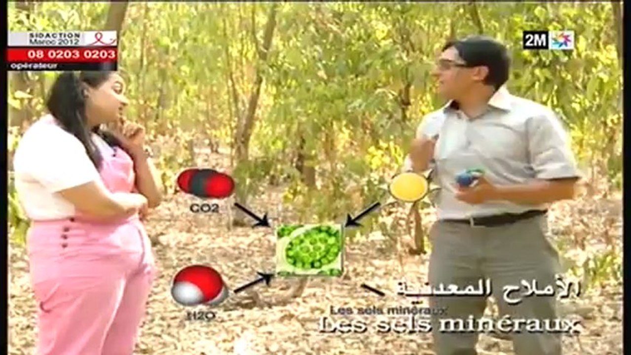 بغيت نعرف: الأحد 16 دجنبر