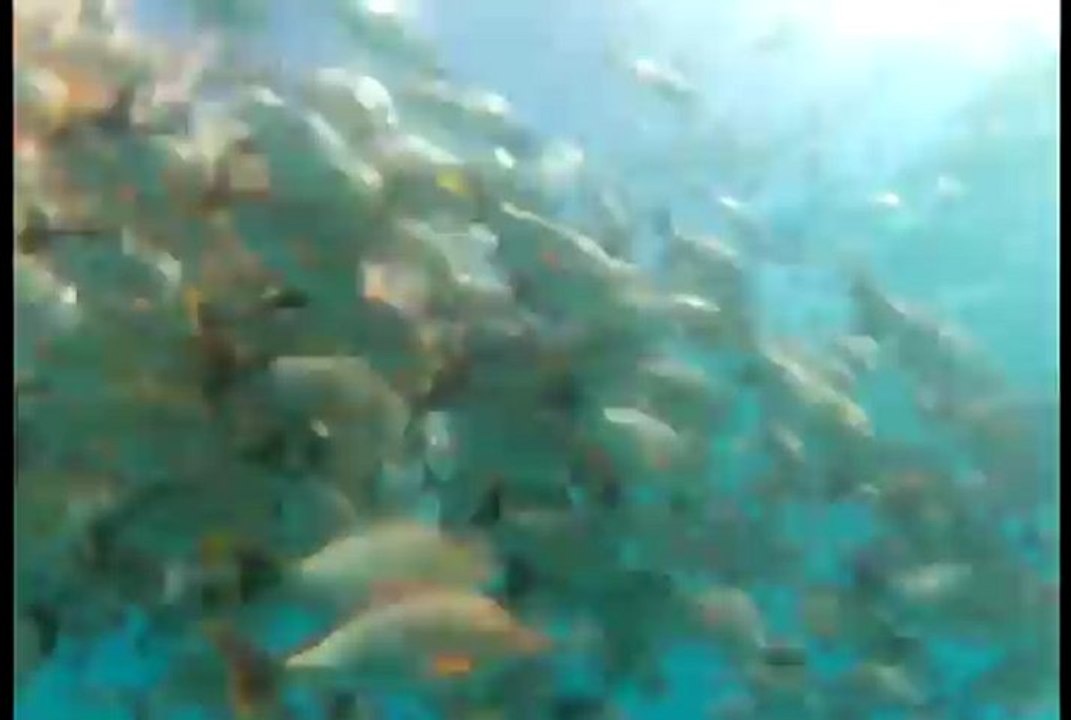Rangiroa