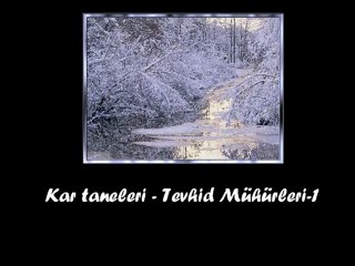 Buyrun Kışın Makro Dünyasına...