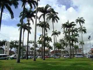 Dans les rues de Cayenne...