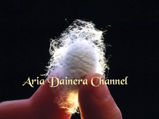 Aria Dainera ★ ΚΟΥΚΟΥΛΙ, μέρος α' (παραμύθι)