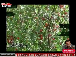 resadiye ışıklar koyu vtr