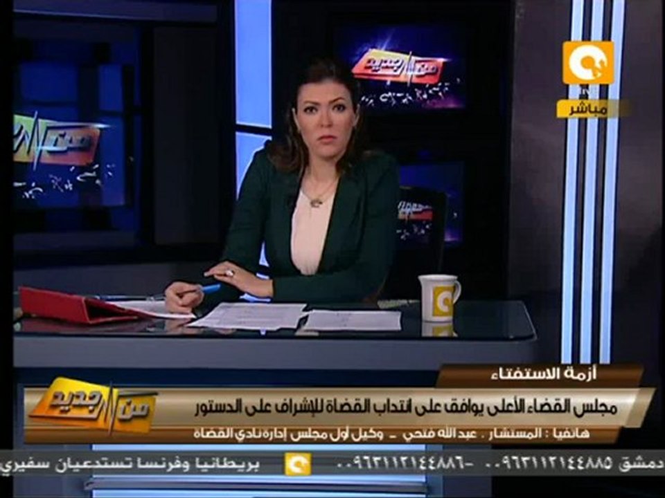 من جديد: الإعلان عن تشكيل لجنة الاستفتاء على الدستور