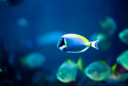 페가수스카지노 ▶VIP447.COM◀ 온라인바카라 비비카지노