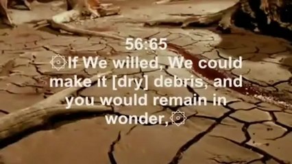 Surah Al Waqiah Complete recited by Mishary Al Afasy