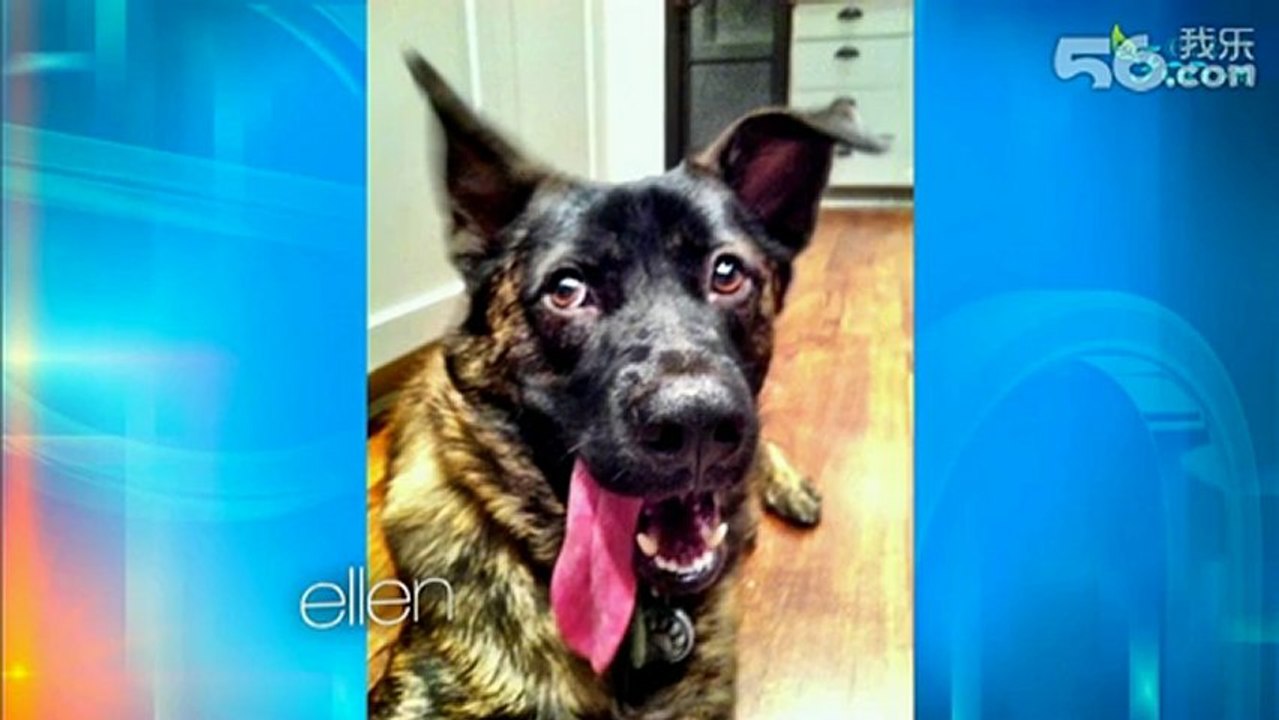 Ellen Show 3/4