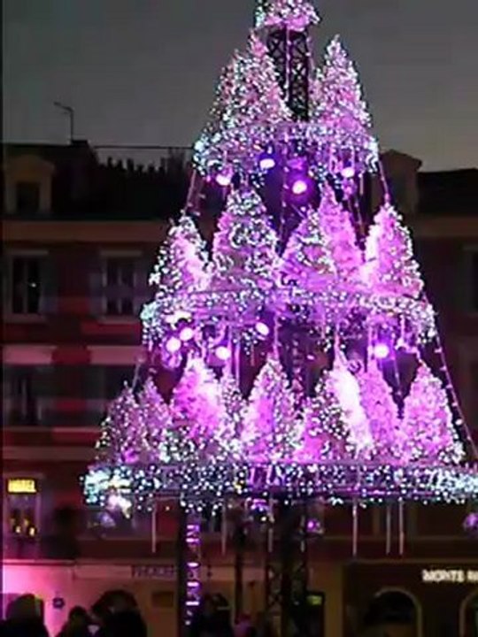 Sapin Nice 2011.