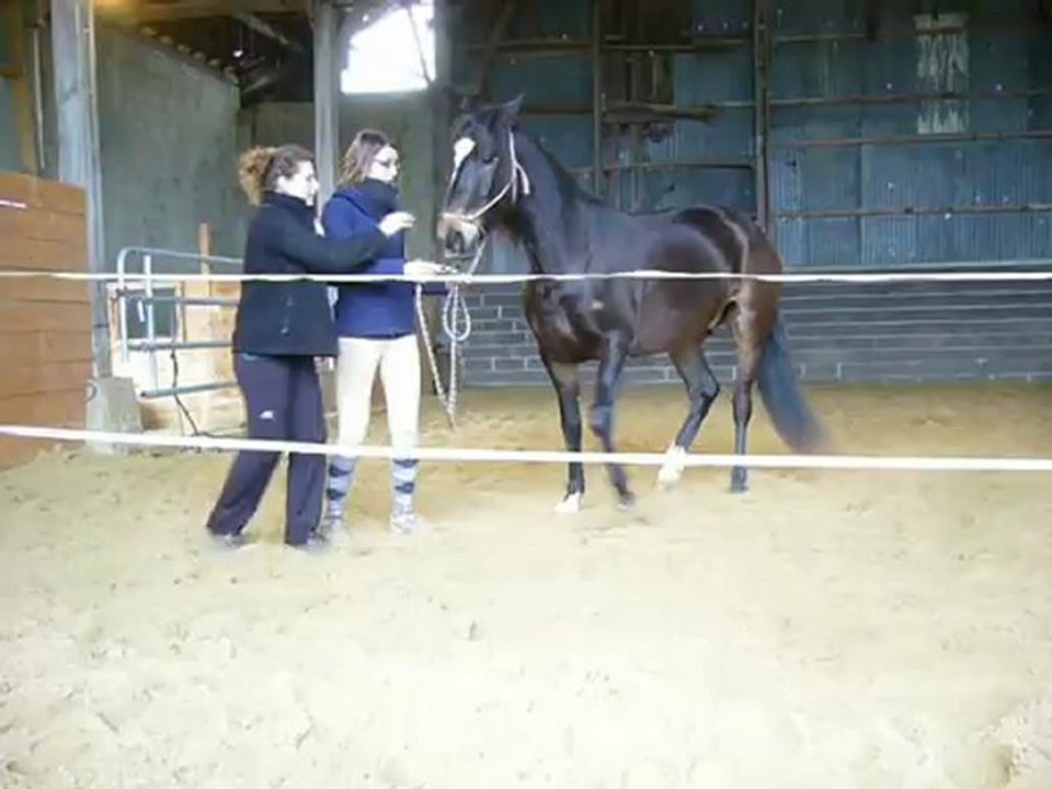 Talar 16/12/11, mobilisation des épaules
