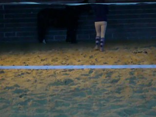 Talar 16/12/12, trot en mains et arrêts