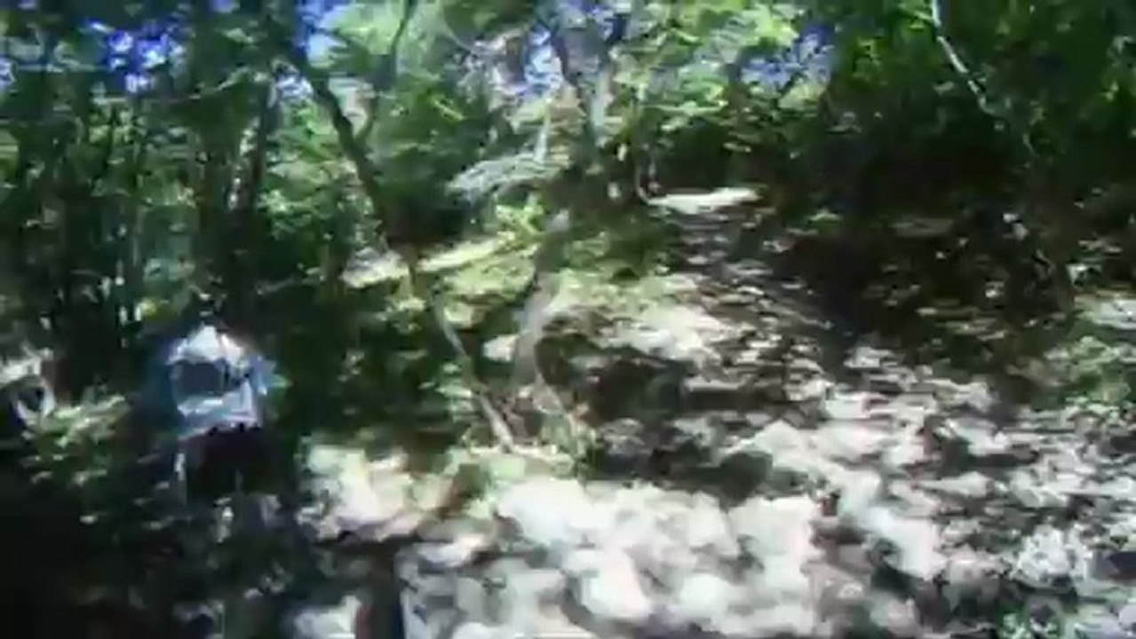 C'EST PARTI MON KIKI