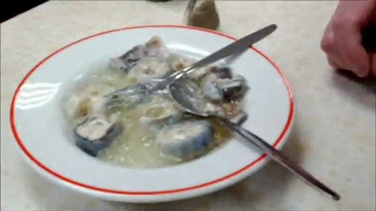 Jellied Eel