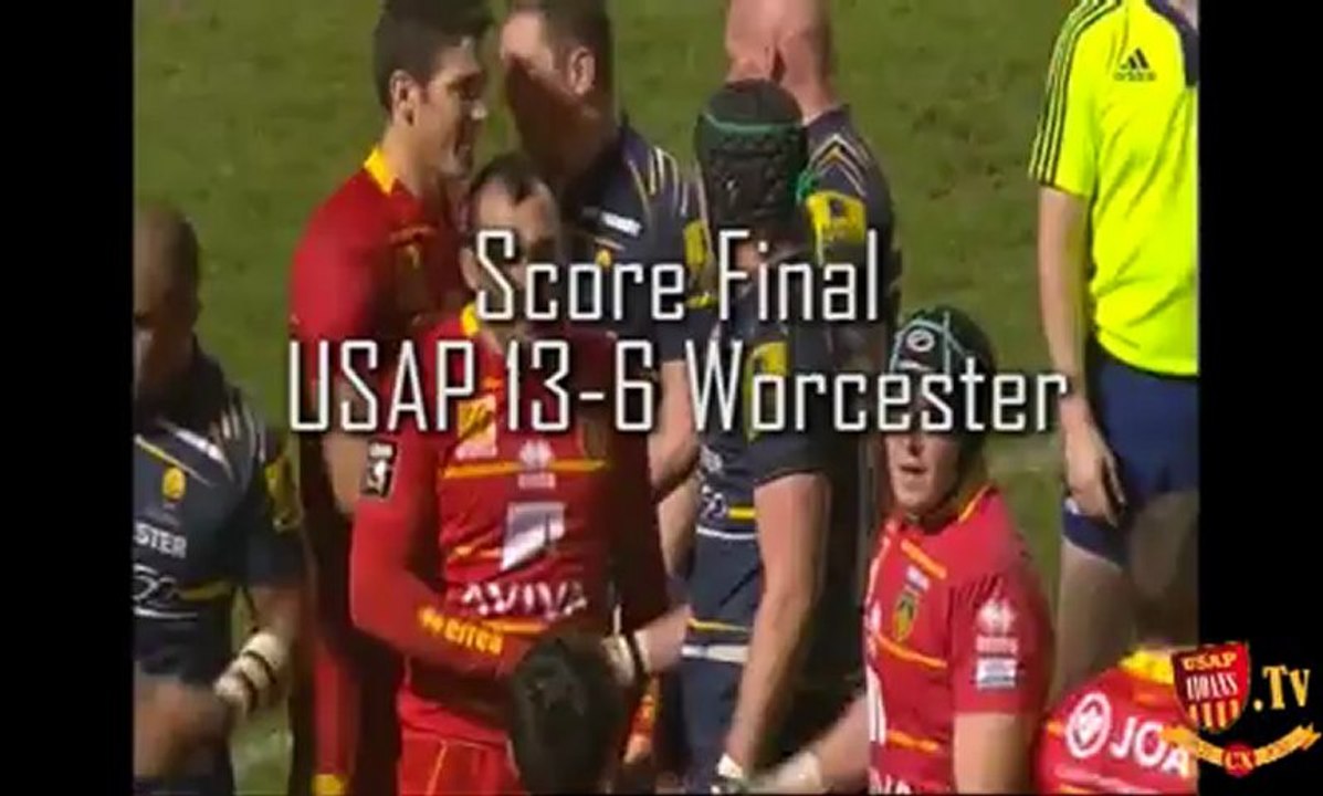 4ème journée d'Amlin Cup : USAP vs Worcester