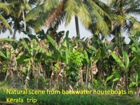 Most enjoying & beautiful Kerala Tour with luxury houseboats
