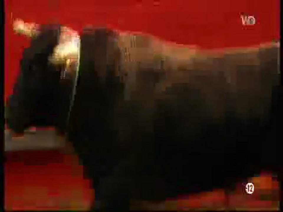 animaux tueurs - le taureau de Lowell