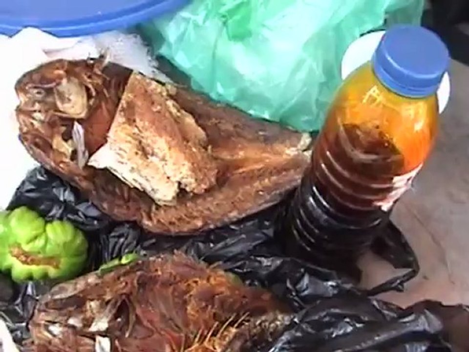Guinea Bissau Tera Sabi