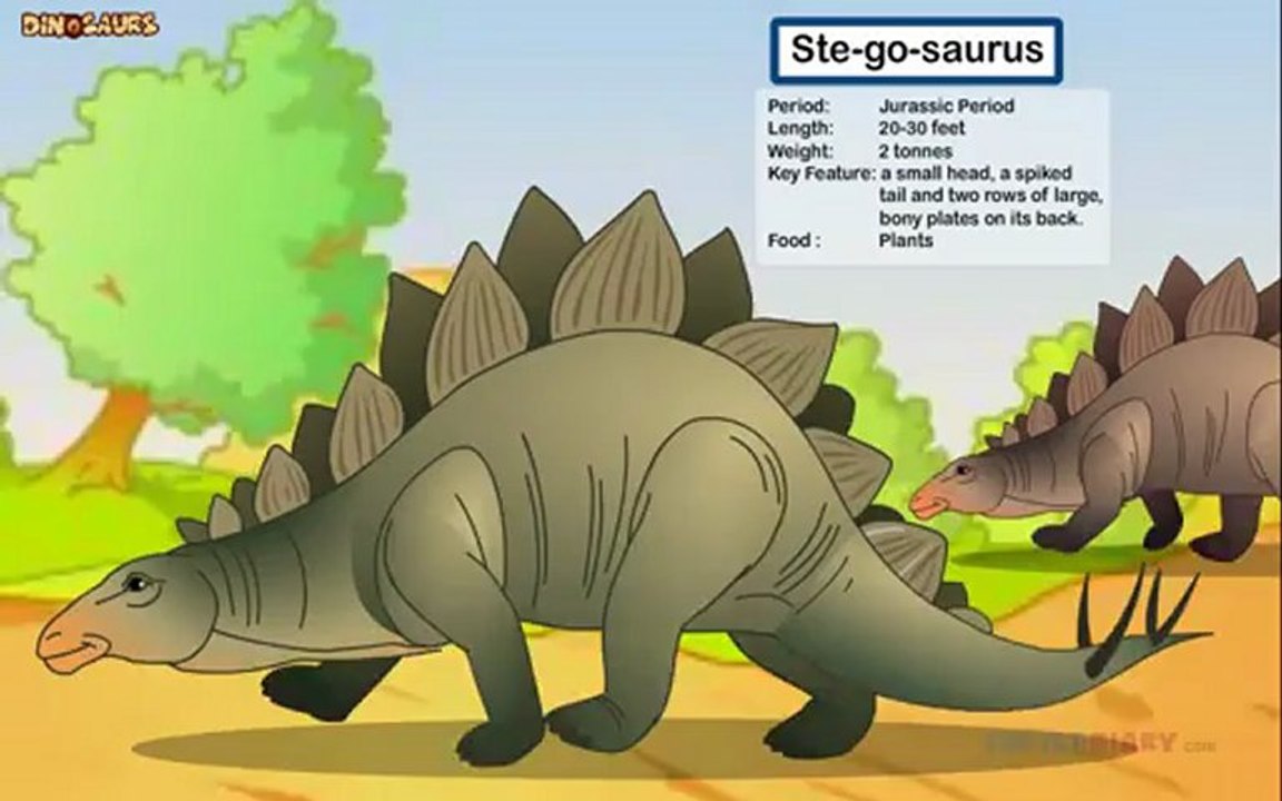 Stegosaurus