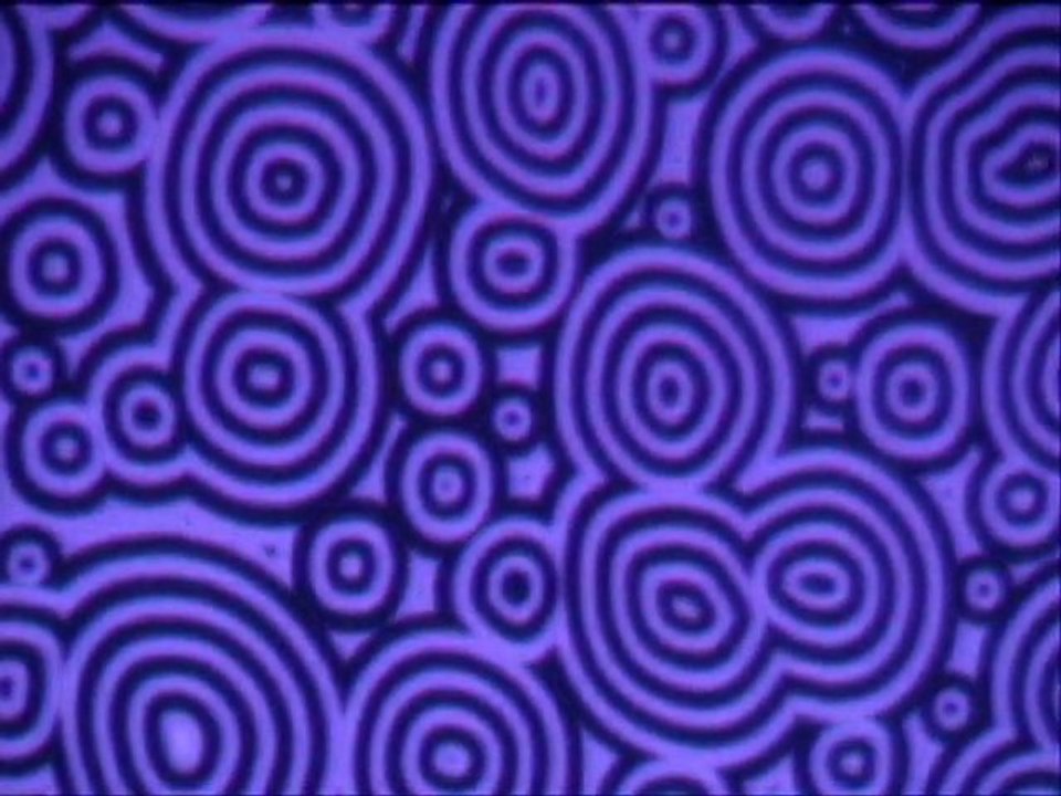 La Nuit Blanche 5 (NB5) Metz 2012