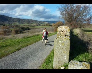 Entre Soyons et Charmes sur Rhône (07 Ardèche)