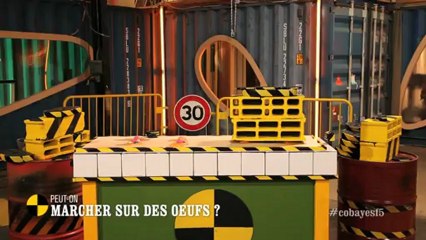 EM44 Peut-on marcher sur des œufs ?