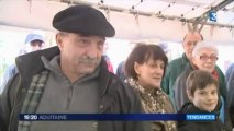 Marché aux truffes de Tournon d'Agenais 47