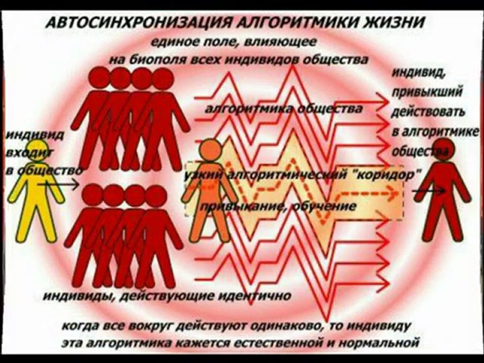 CCCP 2.0
