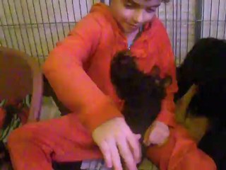 Nathan et les bébés ckc du pays de Gulliver