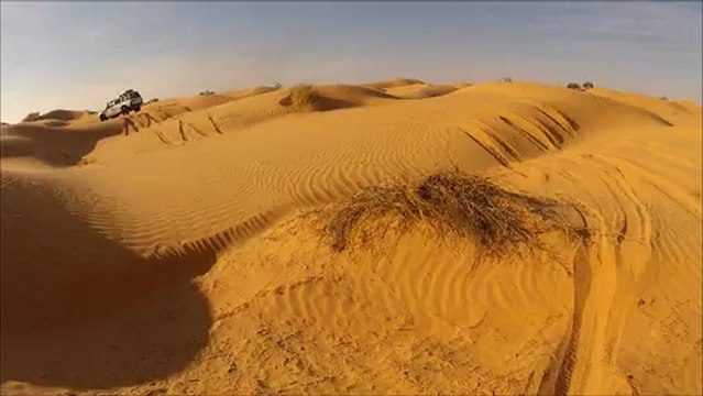 balade sur les dunes