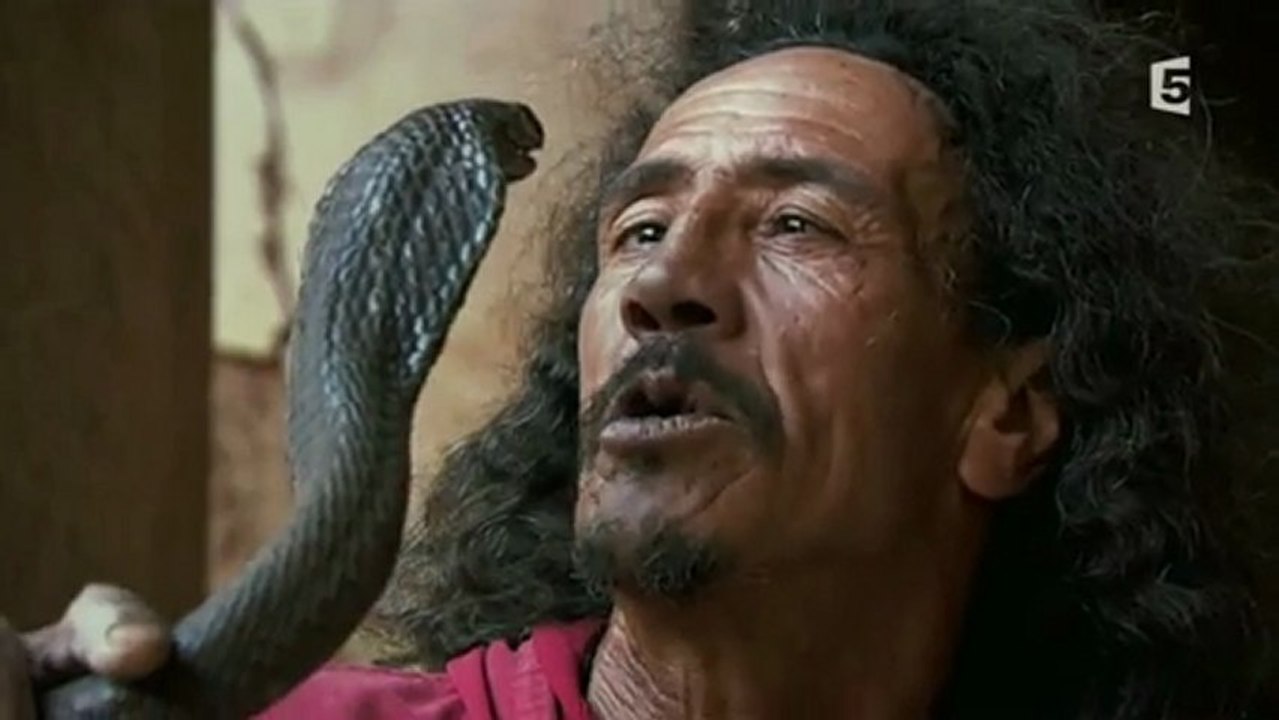 Chamanes: Les maîtres du désordre. (docu.)