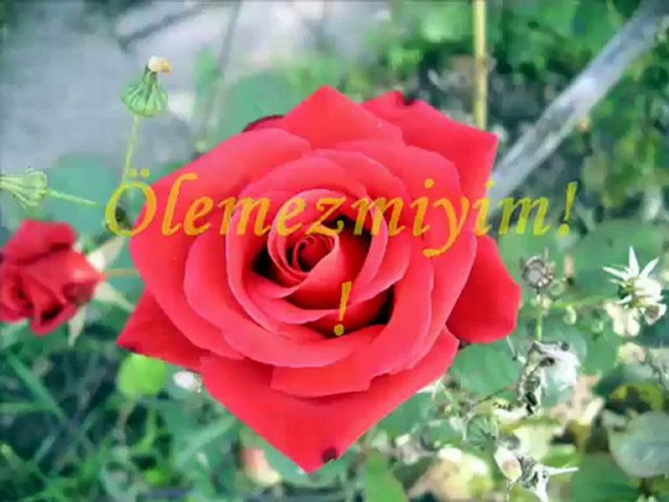WwW.SeSLiSeNLe.CoMBen Seni Hiç Görmeden Sevdim - YouTube