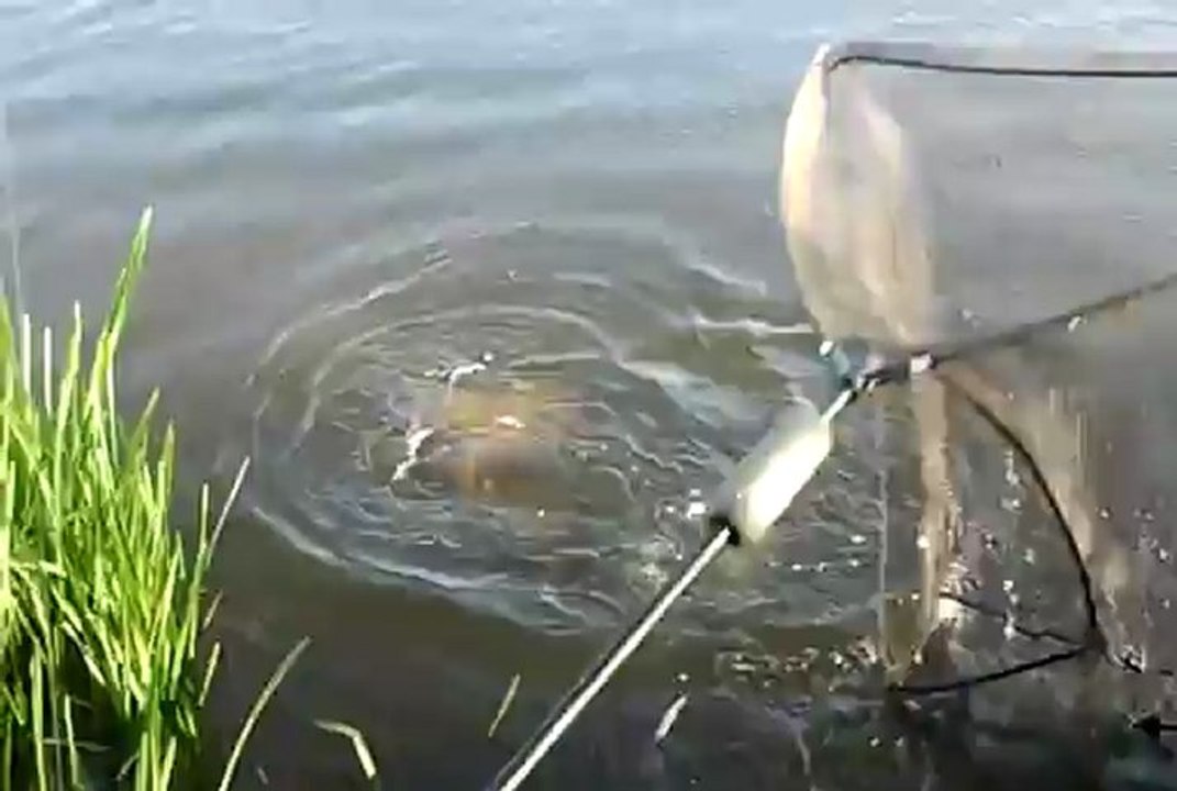 Video0013