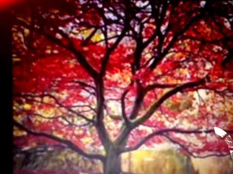 sửa bình nóng lạnh PICENZA tại NGUYỄN TRÃI 0983440201 sửa bình nóng lạnh PICENZA tại NGUYỄN TRÃI 0983440201